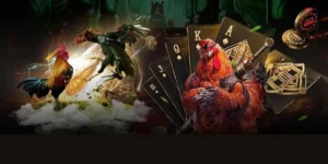 Chinh Phục Sảnh Đá Gà GA28 Tại QQ88 Với Chiến Thuật Bất Bại