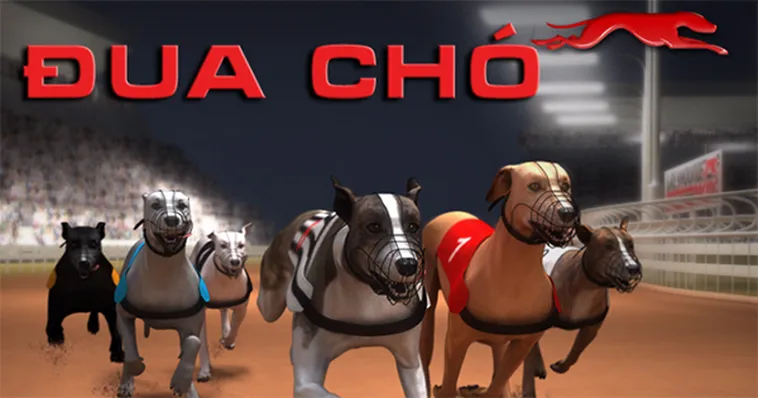 Mẹo Hay Về Cách Chơi Game Nhanh Đua Chó Tại QQ88 Luôn Thắng 2 Mẹo Hay Về Cách Chơi Game Nhanh Đua Chó Tại QQ88 Luôn Thắng